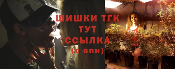 эйфоретик Каменногорск