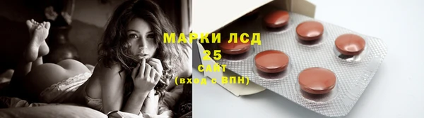 винт Каменка