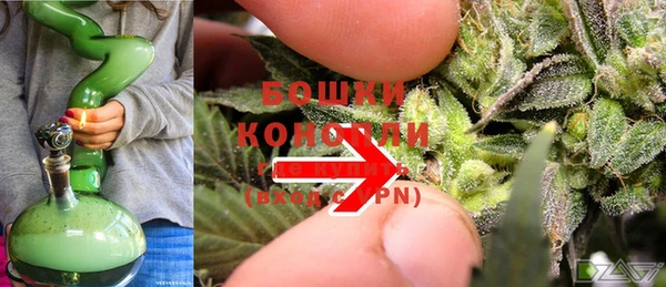 эйфоретик Каменногорск