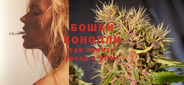 винт Каменка
