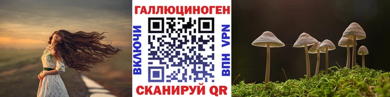 Галлюциногенные грибы Magic Shrooms  Купить закладки  Емва 